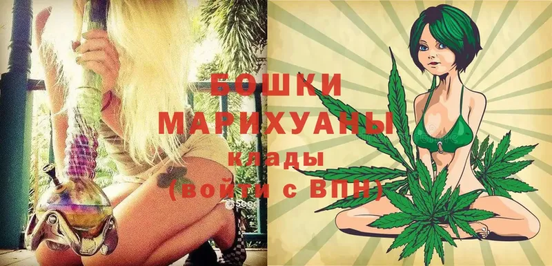 продажа наркотиков  Вытегра  сайты даркнета наркотические препараты  Марихуана OG Kush 